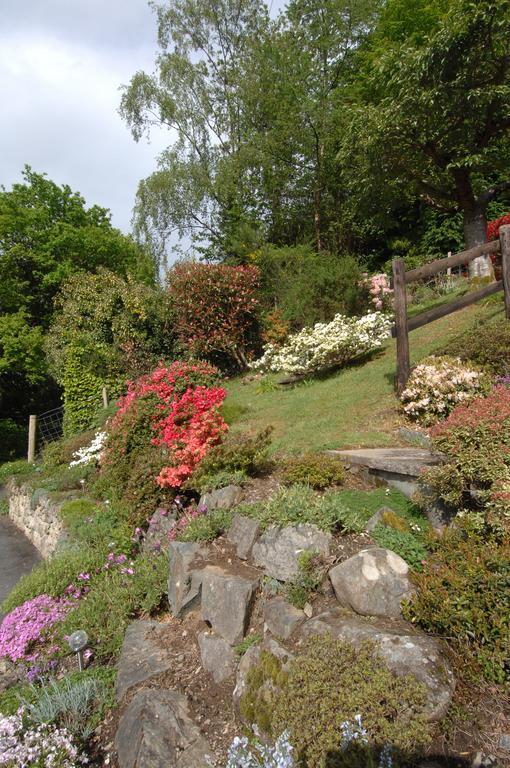 Dwy Olwyn Dolgellau Exterior foto