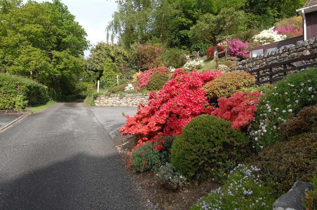 Dwy Olwyn Dolgellau Exterior foto