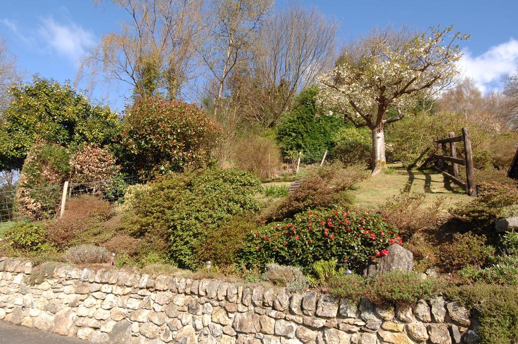 Dwy Olwyn Dolgellau Exterior foto